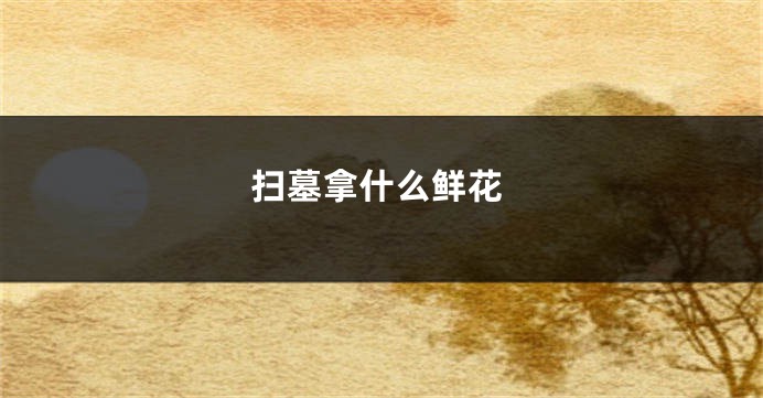 扫墓拿什么鲜花