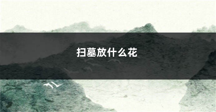 扫墓放什么花