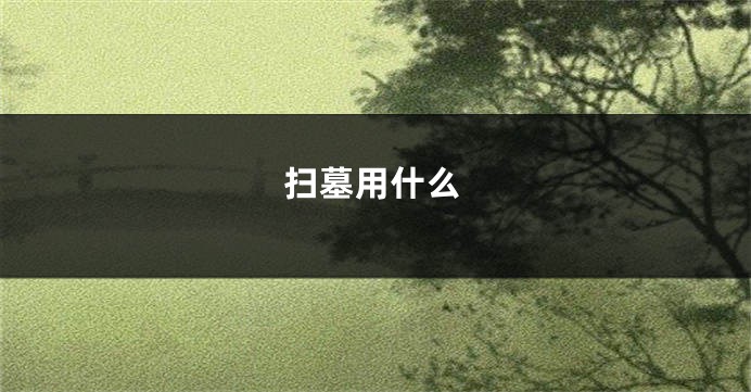 扫墓用什么