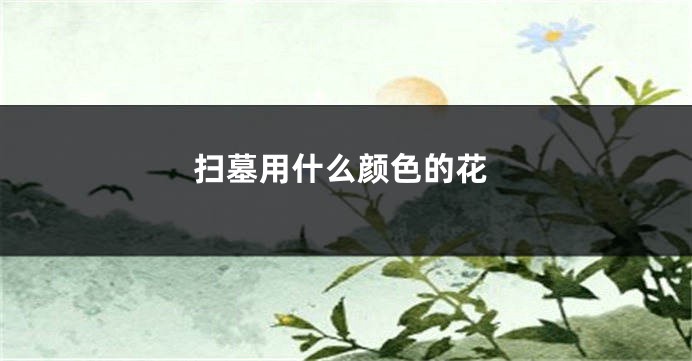 扫墓用什么颜色的花