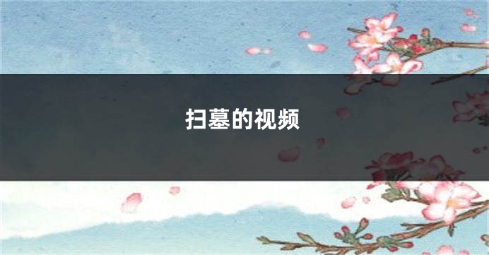扫墓的视频