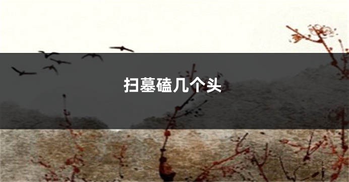 扫墓磕几个头