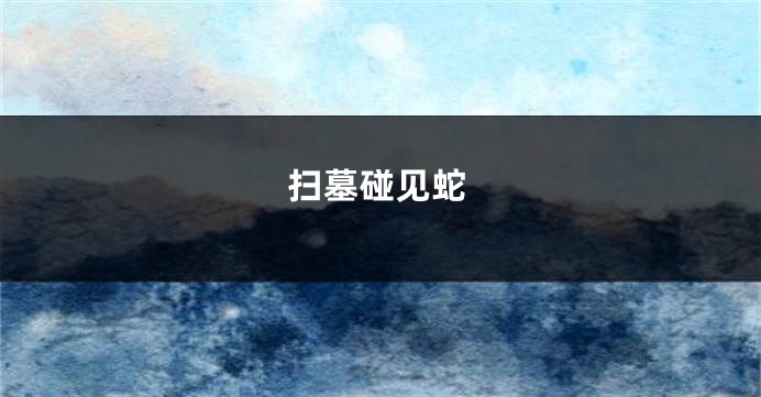 扫墓碰见蛇