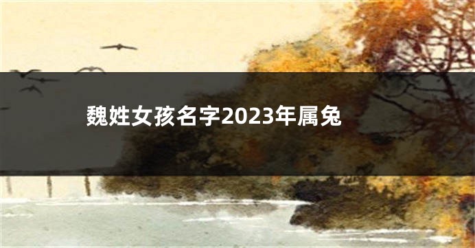 魏姓女孩名字2023年属兔