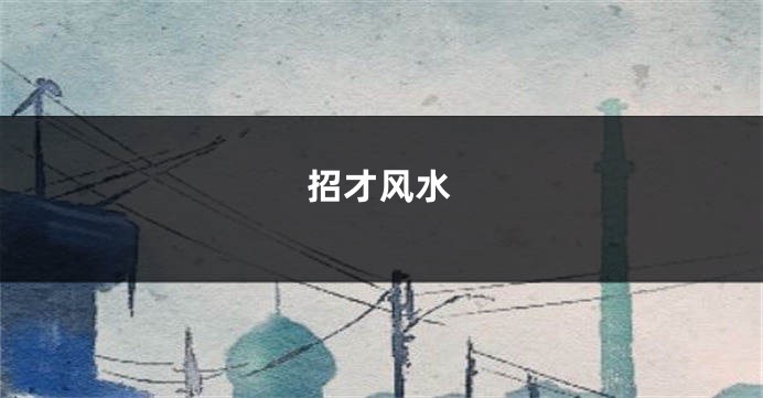 招才风水