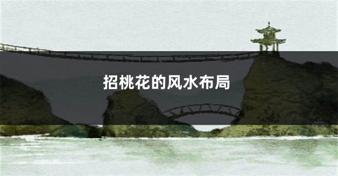 招桃花的风水布局