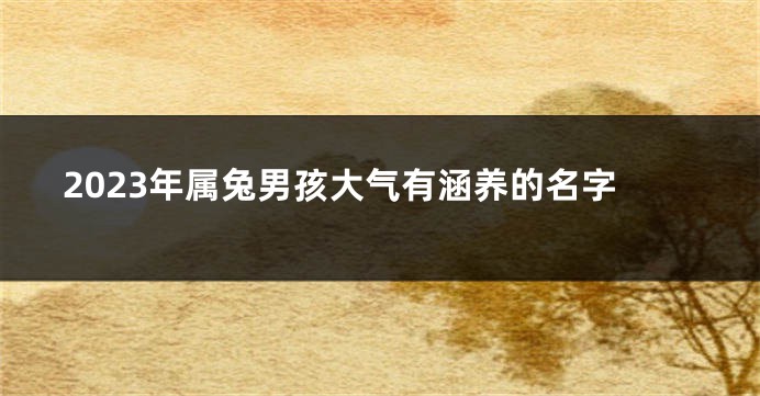 2023年属兔男孩大气有涵养的名字