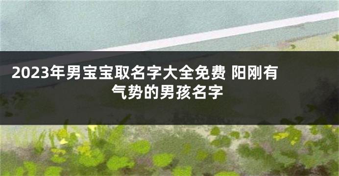 2023年男宝宝取名字大全免费 阳刚有气势的男孩名字