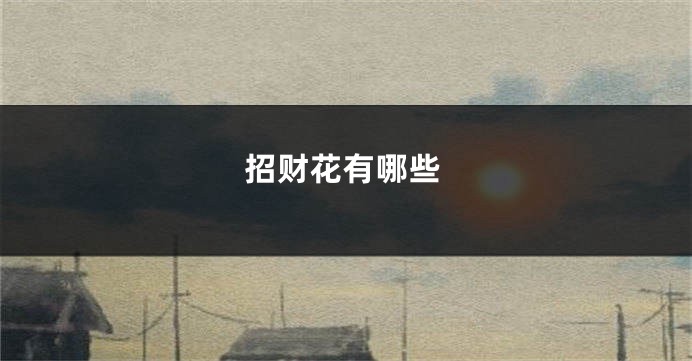 招财花有哪些