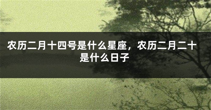 农历二月十四号是什么星座，农历二月二十是什么日子