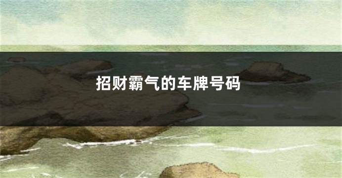 招财霸气的车牌号码