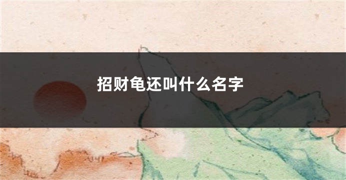 招财龟还叫什么名字