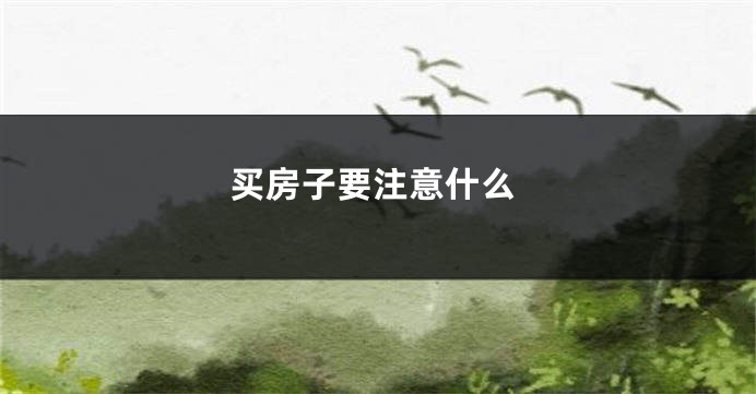 买房子要注意什么