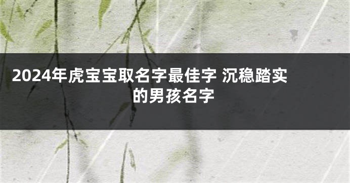2024年虎宝宝取名字最佳字 沉稳踏实的男孩名字