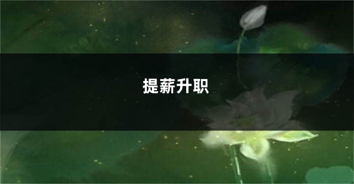 提薪升职