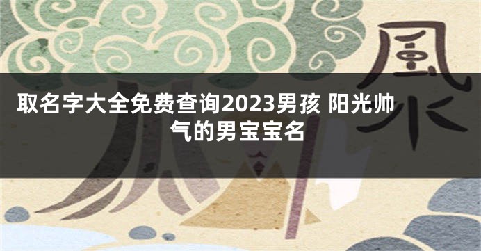 取名字大全免费查询2023男孩 阳光帅气的男宝宝名