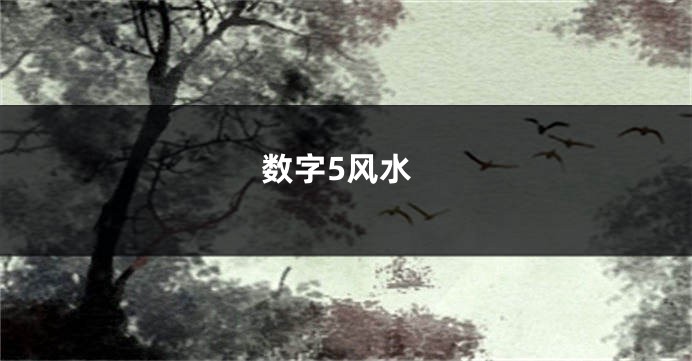 数字5风水