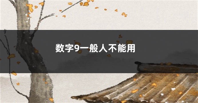 数字9一般人不能用