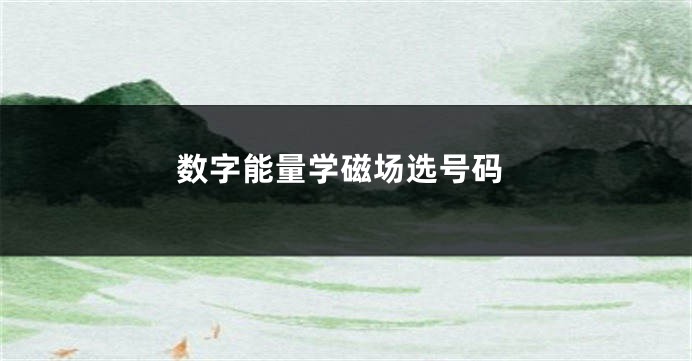 数字能量学磁场选号码