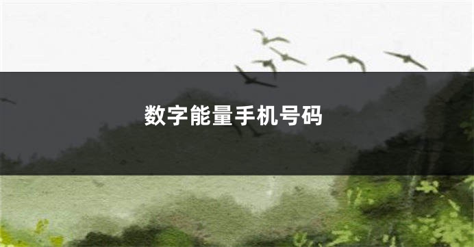 数字能量手机号码