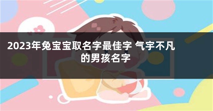 2023年兔宝宝取名字最佳字 气宇不凡的男孩名字