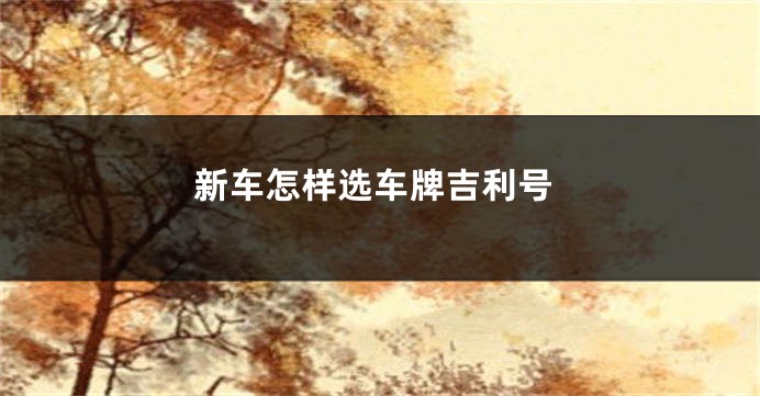 新车怎样选车牌吉利号