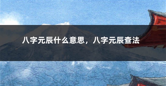 八字元辰什么意思，八字元辰查法
