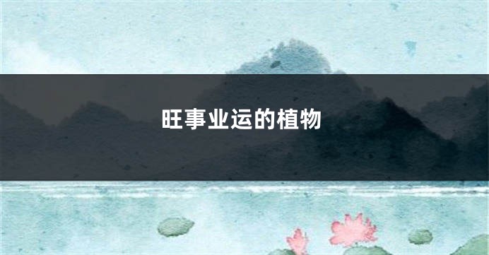 旺事业运的植物