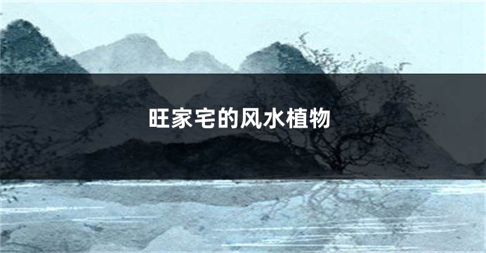 旺家宅的风水植物