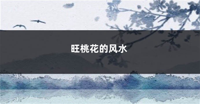 旺桃花的风水
