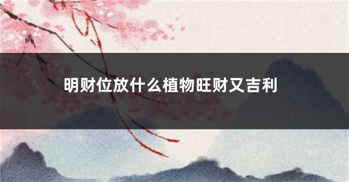 明财位放什么植物旺财又吉利