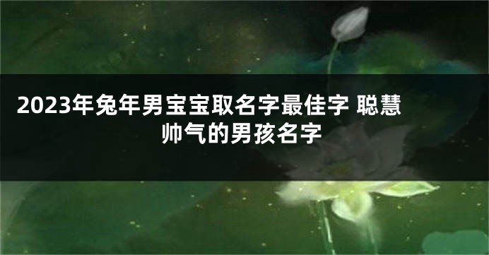 2023年兔年男宝宝取名字最佳字 聪慧帅气的男孩名字