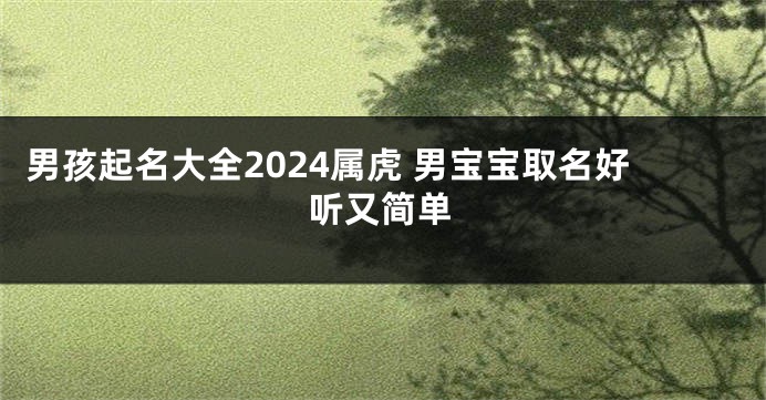 男孩起名大全2024属虎 男宝宝取名好听又简单