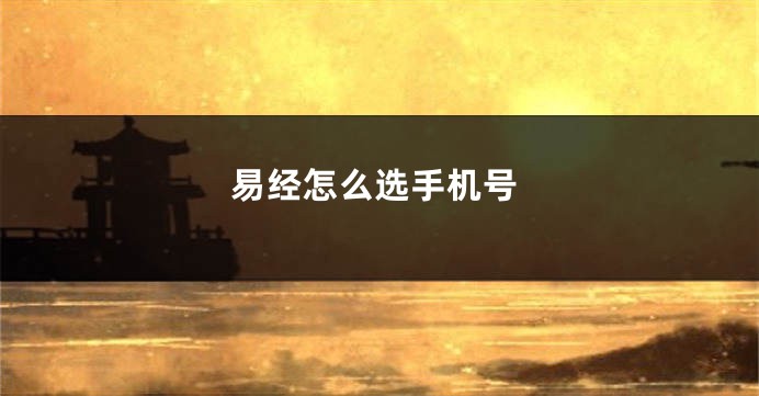 易经怎么选手机号
