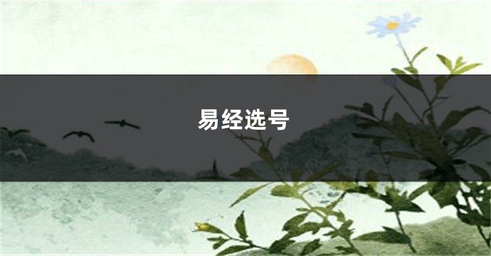 易经选号