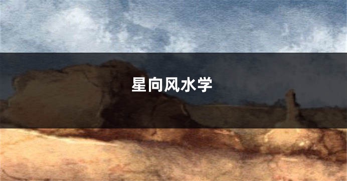 星向风水学