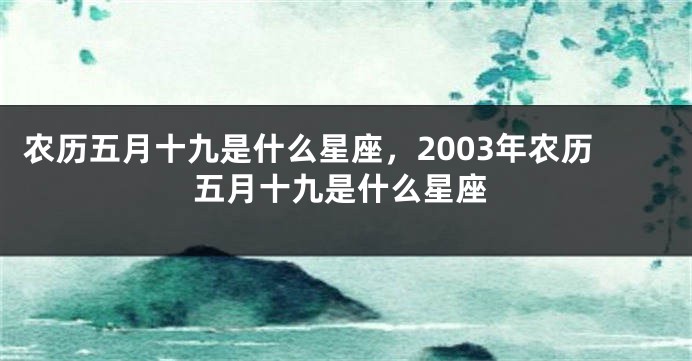 农历五月十九是什么星座，2003年农历五月十九是什么星座