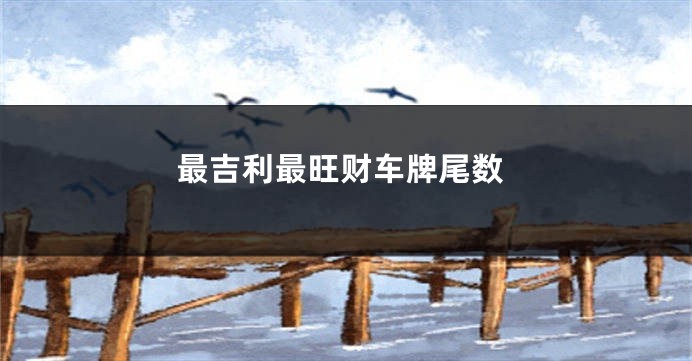 最吉利最旺财车牌尾数