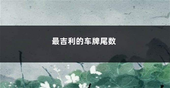 最吉利的车牌尾数
