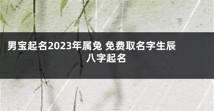 男宝起名2023年属兔 免费取名字生辰八字起名