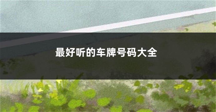 最好听的车牌号码大全