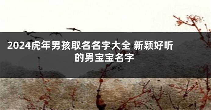 2024虎年男孩取名名字大全 新颖好听的男宝宝名字