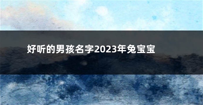 好听的男孩名字2023年兔宝宝