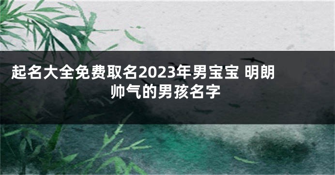 起名大全免费取名2023年男宝宝 明朗帅气的男孩名字