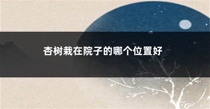 杏树栽在院子的哪个位置好
