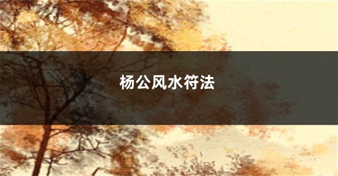 杨公风水符法