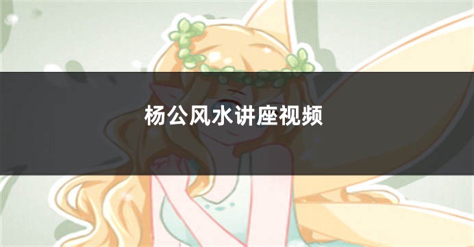 杨公风水讲座视频