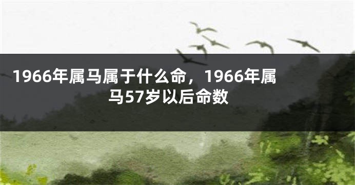 1966年属马属于什么命，1966年属马57岁以后命数