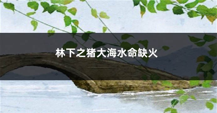 林下之猪大海水命缺火
