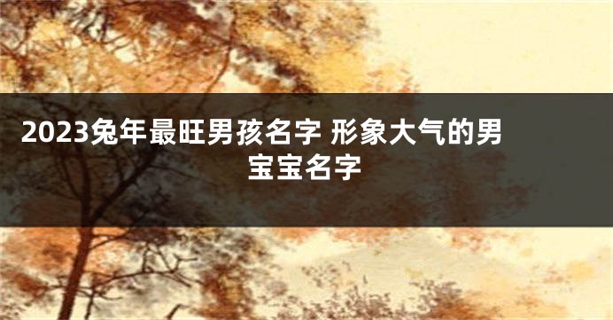2023兔年最旺男孩名字 形象大气的男宝宝名字